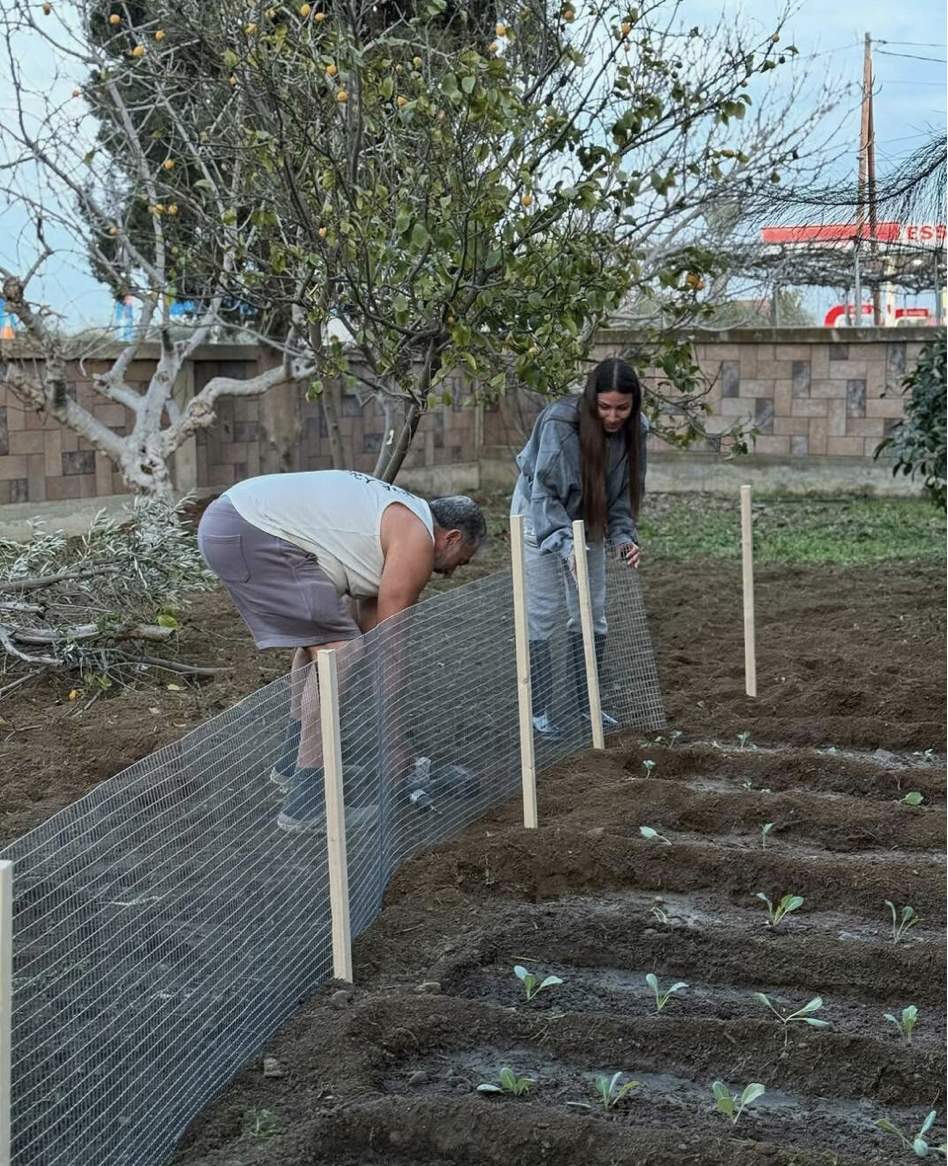 koullis